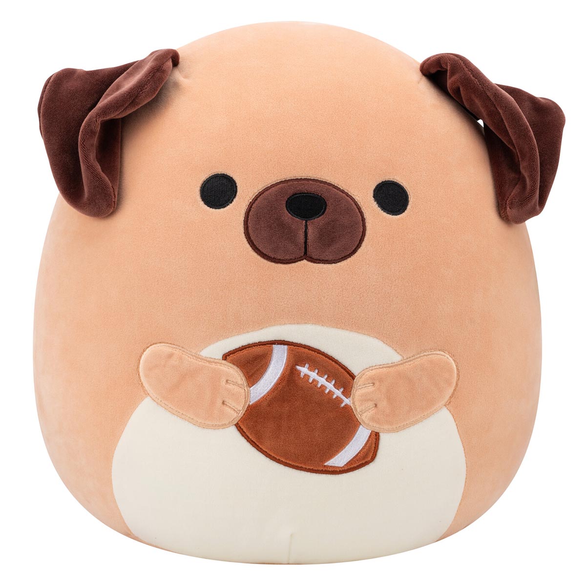 14-Inch Daryl the Brown Dog Holding Football